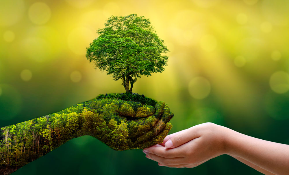 Illustration zeigt einen Baum in Form einer Hand, die von Händen gehalten wird, welche den Umweltschutz widerspiegelt.